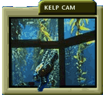 kelp_cam_button.gif